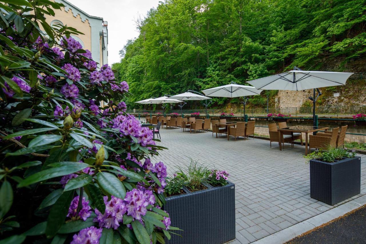 Villa Basileia Riverside 카를로비바리 외부 사진